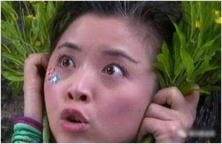 蛋娃姑姑维姐爆料视频,揭秘背后惊人真相 第3张 蛋娃姑姑维姐爆料视频,揭秘背后惊人真相 第3张