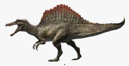 最新爆料异特龙图片高清,高清图片揭示史前巨兽真实面貌 第1张 最新爆料异特龙图片高清,高清图片揭示史前巨兽真实面貌 第1张